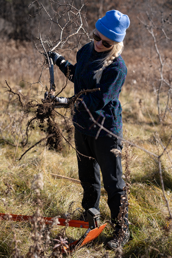Youth Nature Keepers Buckthorn Removal